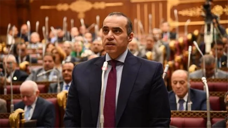 المستشار محمود فوزى: نأمل الانتهاء من قانون العمل قبل نهاية العام الحالى