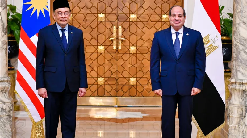 بيان مشترك لمصر وماليزيا تزامنًا مع الاحتفال بمرور 65 عامًا على العلاقات بين البلدين
