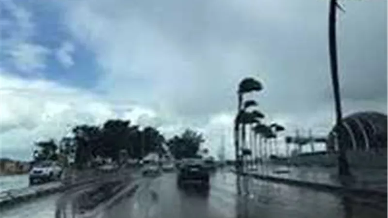 أمطار ببعض المناطق وشبورة.. تفاصيل حالة الطقس حتى السبت المقبل