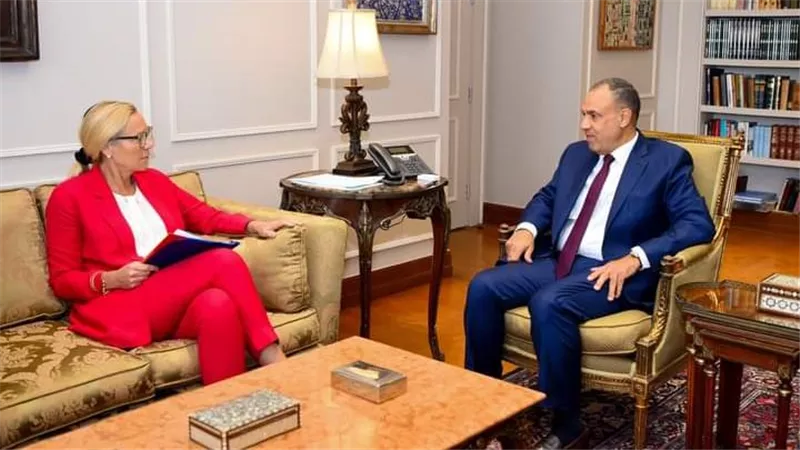 وزير الخارجية يستقبل كبيرة منسقي الأمم المتحدة للشئون الإنسانية وإعادة الإعمار في قطاع غزة