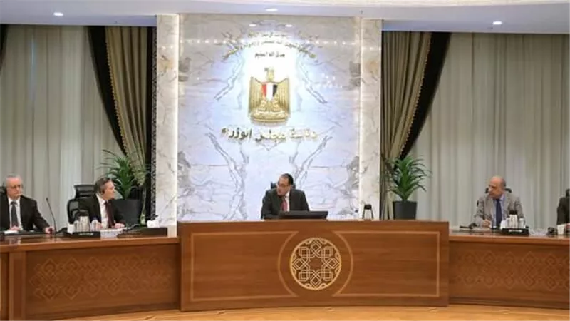 رئيس الوزراء يلتقي المدير التنفيذي لشركة 
