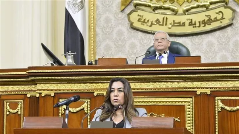 وزيرة التنمية المحلية تعرض أولويات عمل الوزارة لمواجهة التحديات التي تواجه المحليات