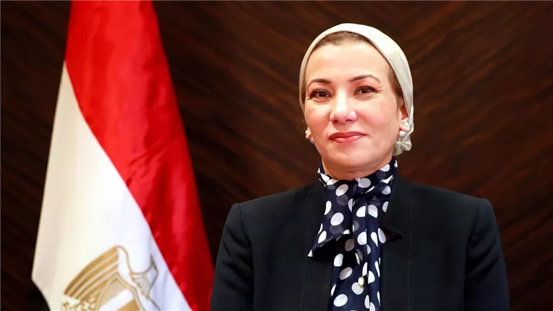  ياسمين توجه بتشكيل لجنة لمتابعة الواقعة وتقدير الخسائر والأضرار فى الشعاب المرجانية