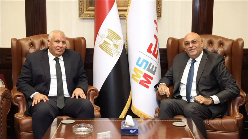 جهاز تنمية المشروعات يتعاون مع محافظة الوادي الجديد لتوطين صناعة الحرير في مصر