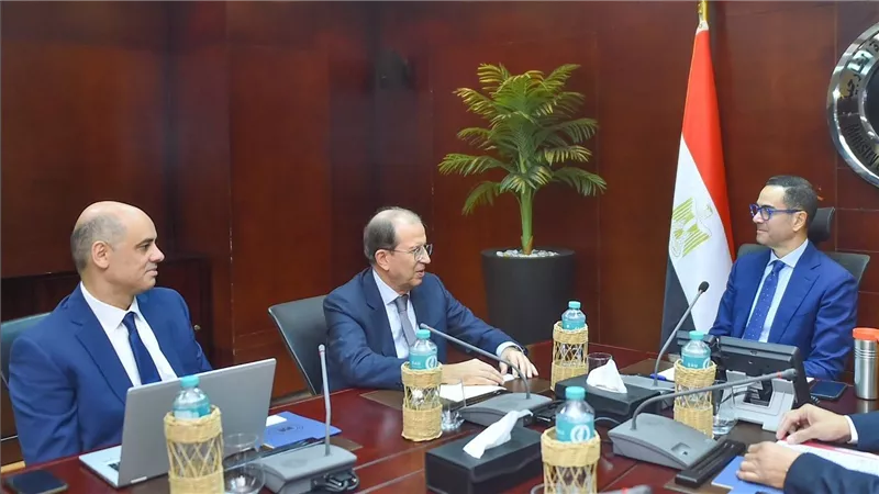 وزير الاستثمار ستعرض مع رئيس شركة Coficab التونسية العالمية لتصنيع الضفائر والكابلات الكهربائية للسيارات
