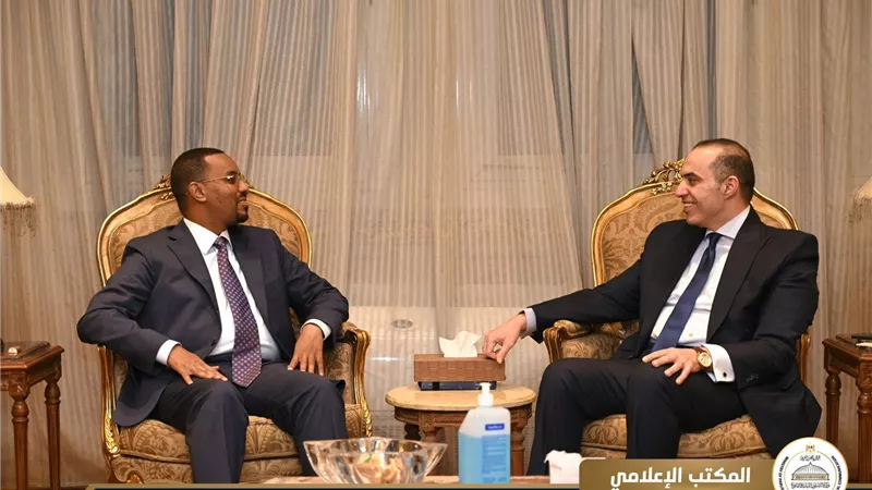 وزير الشئون النيابية يستقبل وزير الدولة للعدل والشئون الدستورية بجمهورية الصومال 