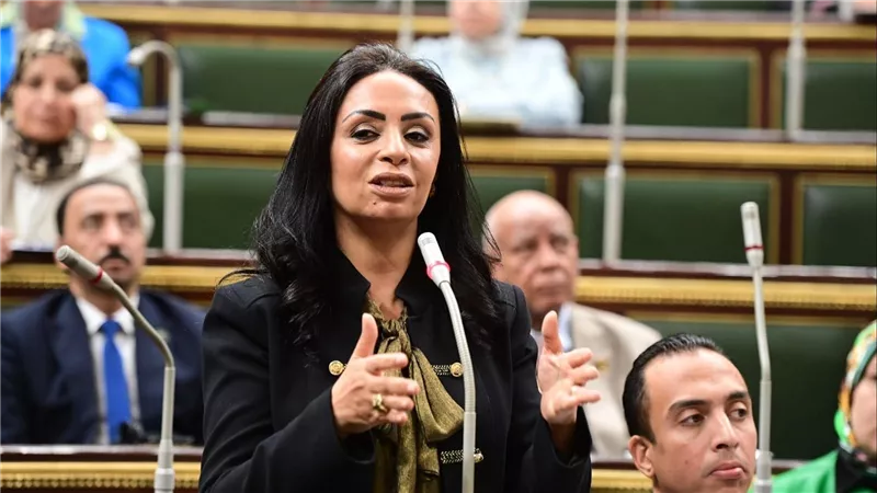 وزيرة التضامن تتوجه بالشكر لمجلس النواب لحرصهم على حقوق الأسر الأكثر احتياجاً 