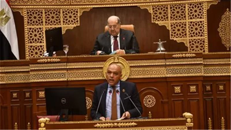 نائب: المبادرة المصرية بصياغة موقف عربى ضد التوغل الإسرائيلى ستكشف غطرسة نتنياهو