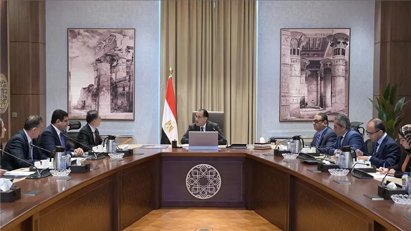 رئيس الوزراء يلتقي رئيس شركة 