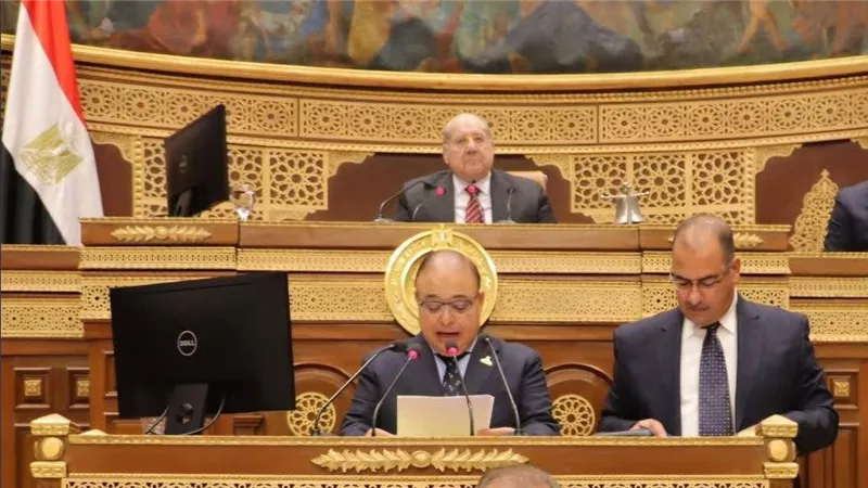 وزير الشئون النيابية: مجلس الشيوخ يؤكد مجددًا دوره كبيت خبرة في مناقشة القوانين الحيوية