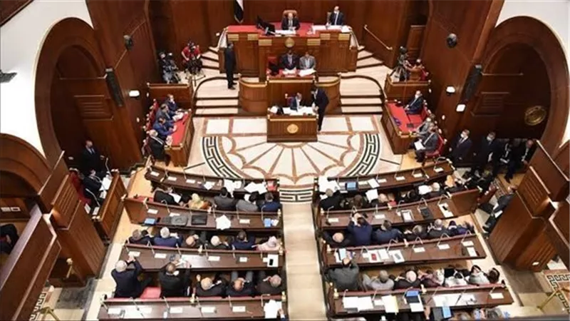 مجلس الشيوخ يوافق على التصالح فى جرائم قانون المسؤولية الطبية