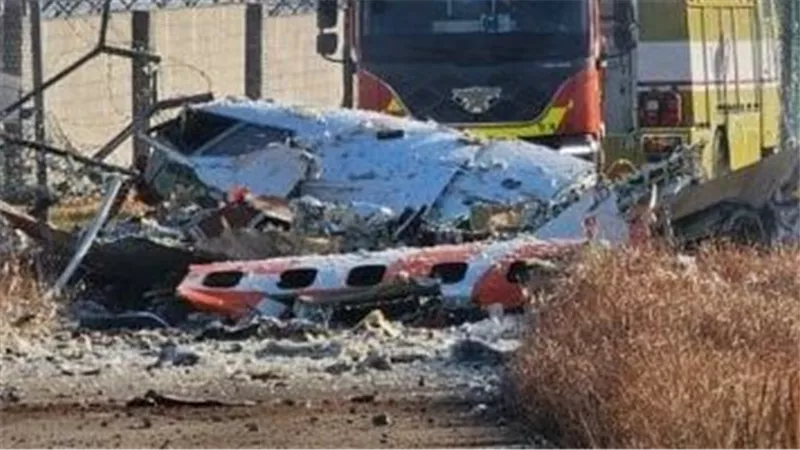 العراق وفلسطين يعزيان كوريا الجنوبية فى ضحايا حادث الطائرة المنكوبة