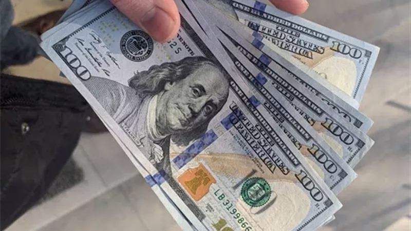 سعر الدولار في البنوك المصرية صباح اليوم الأحد 19 يناير 2025