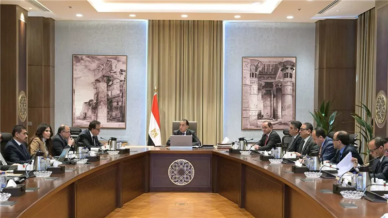 رئيس الوزراء يتابع موقف توافر الأدوية والمستلزمات الطبية وسداد مستحقات الشركات