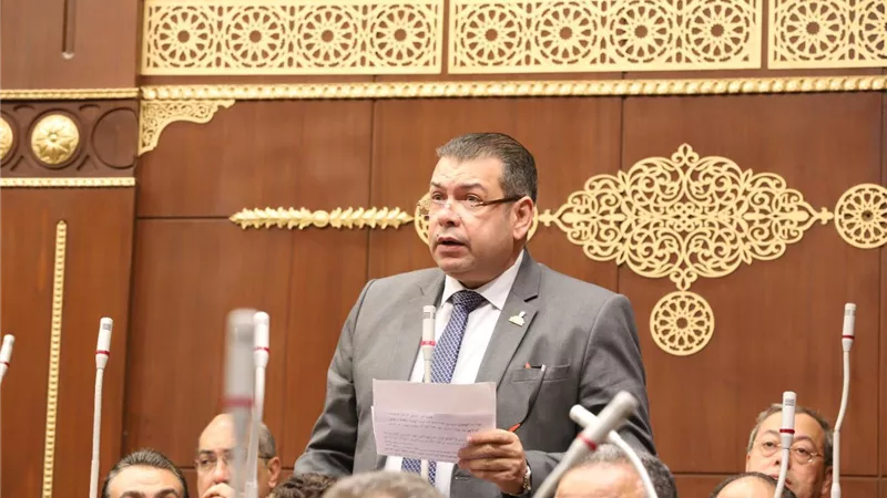 برلماني: مصر وشعبها خلف الرئيس عبدالفتاح السيسي ضد مخططات تهجير الفلسطينيين إلى سيناء
