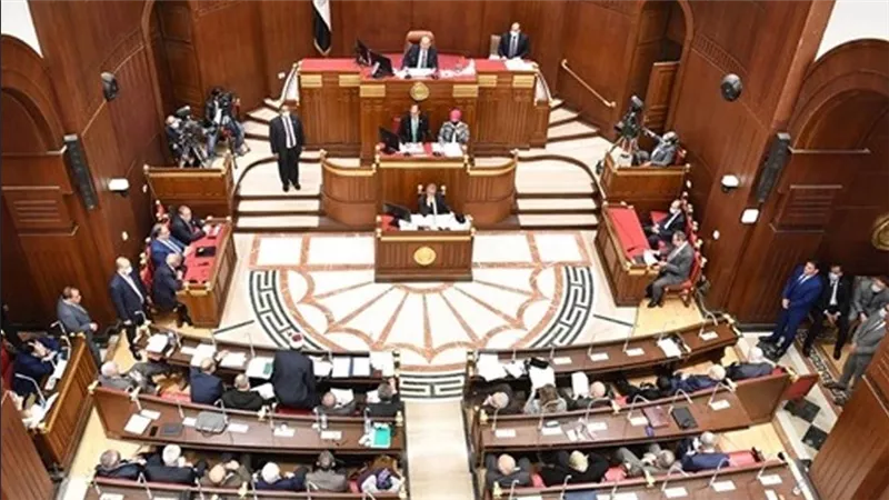 مجلس الشيوخ يعلن رفضه القاطع لتهجير الفلسطينيين من أرضهم
