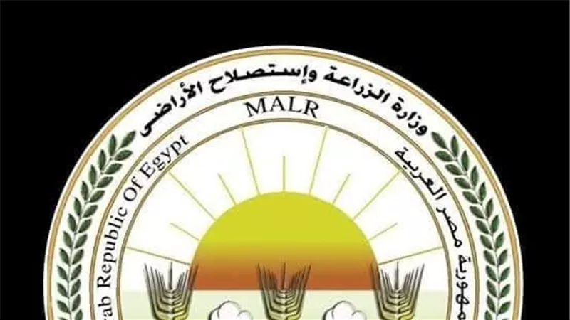 الزراعه: فتح باب استيراد كتاكيت التسمين والبياض والبيض المخصب لضبط الأسعار