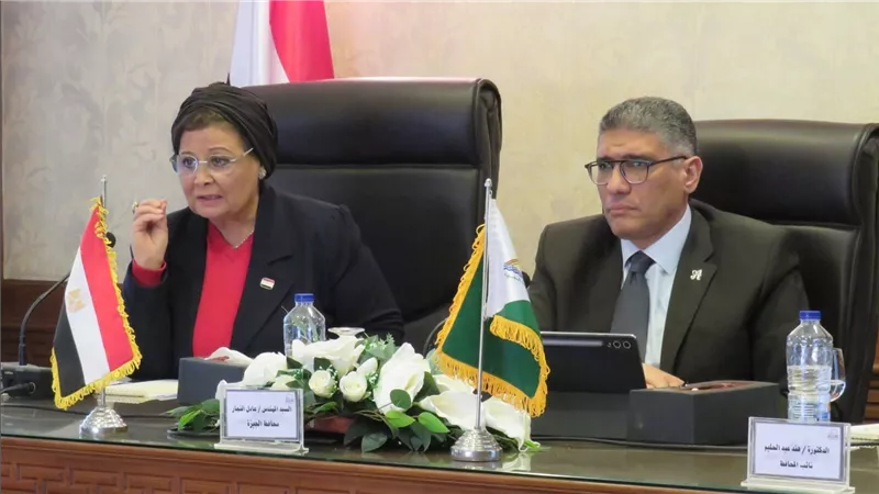 نائب وزير الصحة لتنمية الأسرة تشارك في اجتماع المجلس الإقليمي للسكان بمحافظة الجيزة