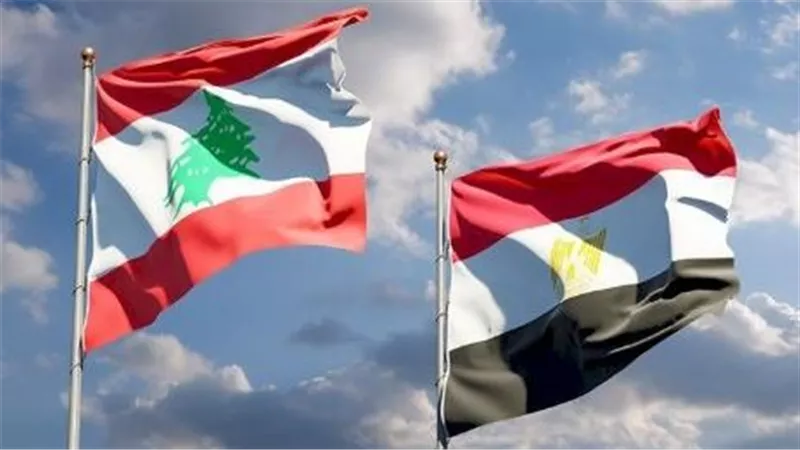 مصر ترحب بتشكيل الحكومة اللبنانية الجديدة