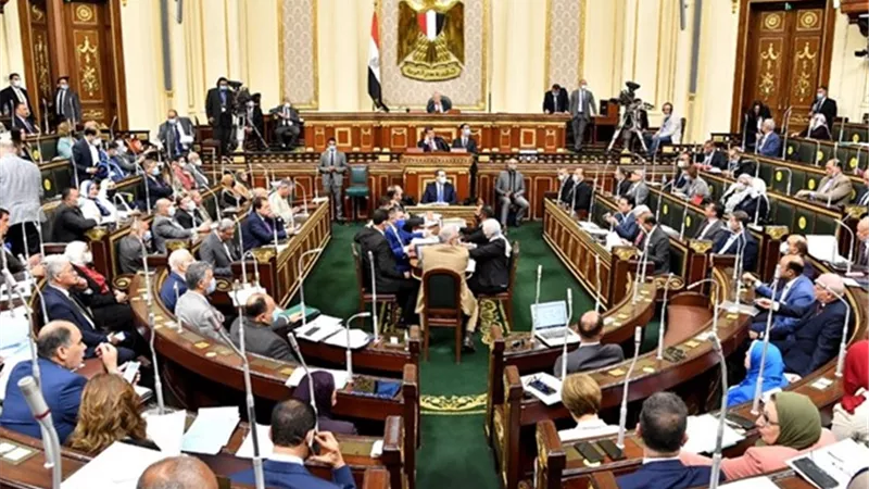 مجلس النواب يقرر وقف اعدام الحامل الي بعد من الوضع 
