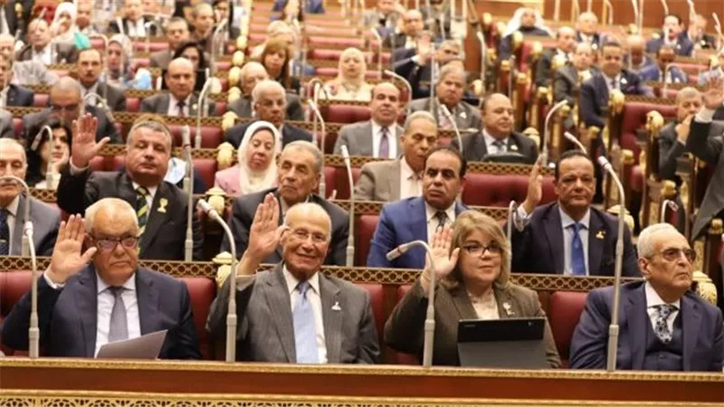 مجلس الشيوخ يناقش خطة الحكومة لإقامة المدن والمجمعات الصناعية المتخصصة