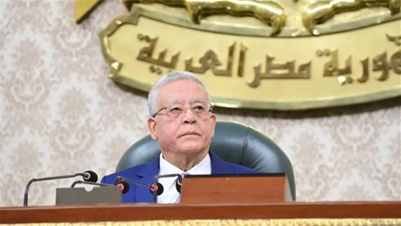 تنسيقية الأحزاب: سيناء خط أحمر ولن نقبل بتهجير الفلسطينيين أو تصفية قضيتهم