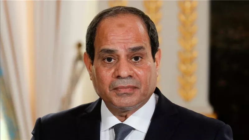 الرئيس السيسى: أعبر عن إعجابى الشديد لموقف إسبانيا القوى تجاه فلسطين