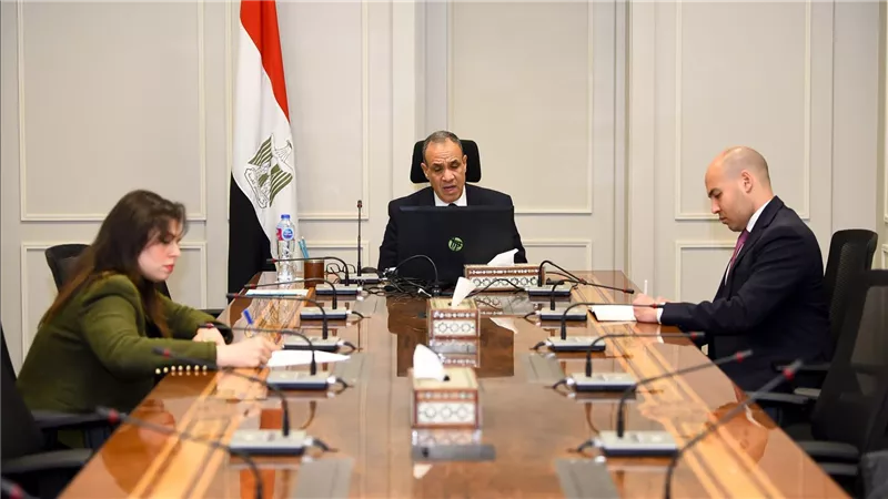 وزير الخارجية والهجرة يشارك في اللقاء الافتراضى مع الجالية المصرية في فرنسا