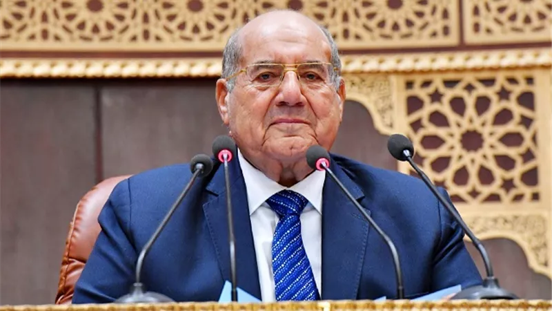 ملفات الكهرباء والطاقة ودعم الصادرات المصرية بجدول أعمال الشيوخ الأسبوع المقبل