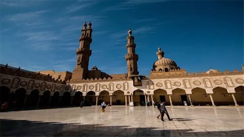 الأزهر يُدين منع الاحتلال دخول المساعدات إلى غزة ويؤكد: جبن وجريمة مستنكرة