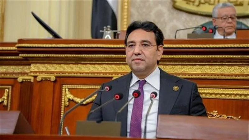 أيمن محسب: القمة العربية بالقاهرة خطوة نحو موقف عربى موحد بشأن فلسطين