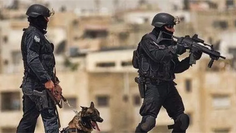 تاجر سلاح بغسل 153 مليون جنيه.. الداخلية تكشف التفاصيل