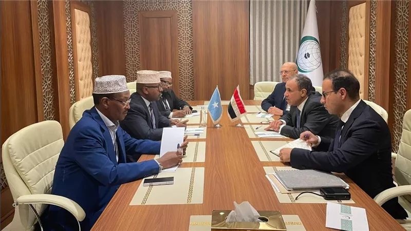 وزير الخارجية والهجرة يعقد لقاءً مع نظيره الصومالي على هامش الاجتماع الاستثنائي لمنظمة التعاون الإسلامي