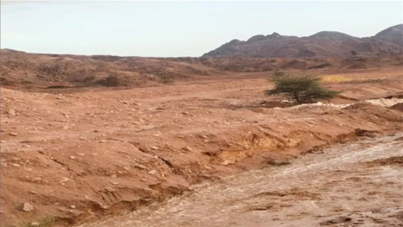 سويلم يتابع موقف العاصفة المطيره التى تعرضت لها محافظة جنوب سيناء