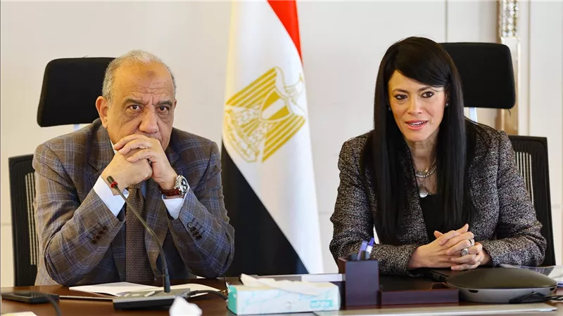 «المشاط»: قطاع الكهرباء والطاقة ركيزة أساسية لتحقيق التنمية الاقتصادية ودفع النمو