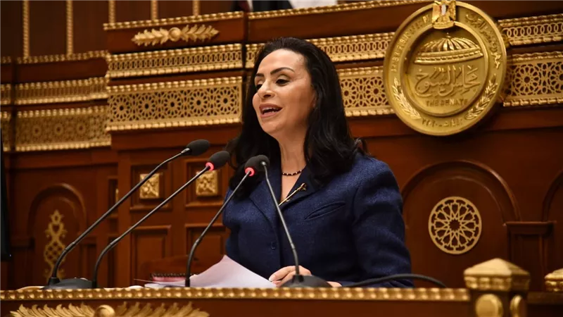 وزيرة التضامن: يتم العمل مع وزارتي المالية والتخطيط والتعاون الدولى لزيادة المخصصات المالية لبرامج الحماية الاجتماعية 