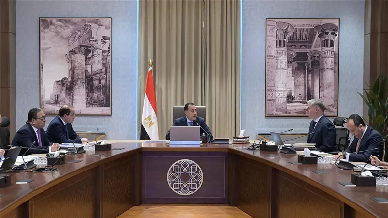 رئيس الوزراء يتابع عددًا من ملفات العمل المشتركة بين وزارتي المالية والبترول والثروة المعدنية