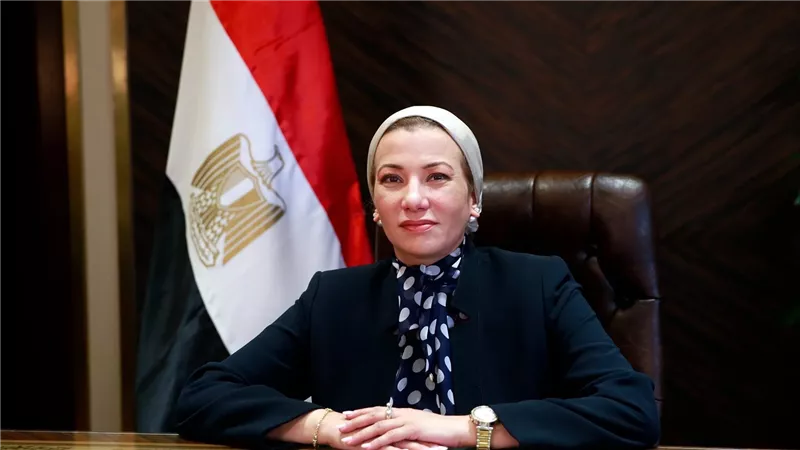 وزيرة البيئة: إنقاذ 4 سلاحف بحرية بمحمية أشتوم الجميل بمحافظة دمياط