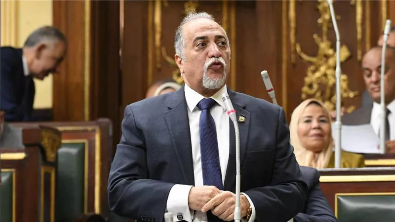 برلمانية حزب مستقبل وطن: العيد يأتى وسط إنجازات للدولة بقيادة الرئيس السيسى