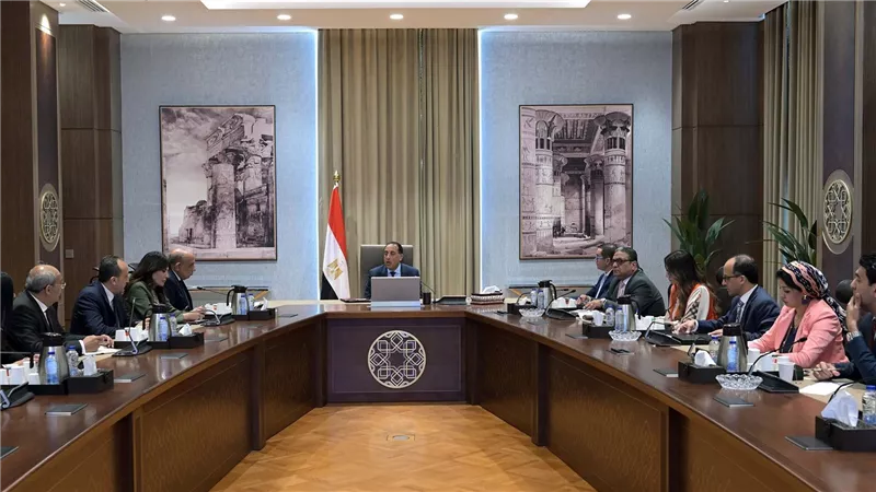 رئيس الوزراء يتابع موقف الطروحات في قطاع الطاقة