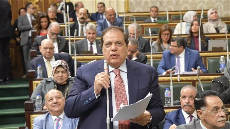 وكيل مجلس النواب: العالم يقدر دور مصر المحورى فى القضية الفلسطينية