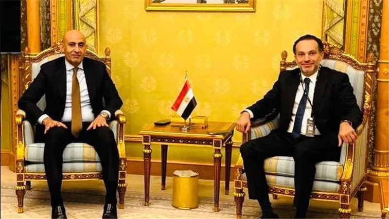 وزير التربية والتعليم يبحث مع رئيس قسم التعليم بشركة جوجل لمنطقة الشرق الأوسط وشمال أفريقيا سبل التعاون