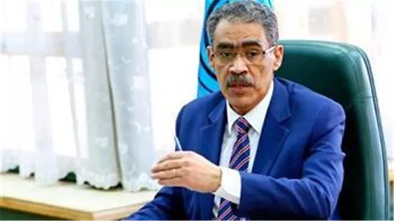 ضياء رشوان: علاقات مصر الآسيوية ركيزة أساسية للنهوض بالصناعة الوطنية