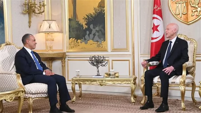 وزير الخارجية والهجرة يسلم رسالة خطية من الرئيس السيسي إلى الرئيس التونسي