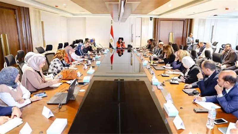 «المشاط» تُوجه بالبدء الفوري في إعداد خطة التنمية متوسطة المدى 