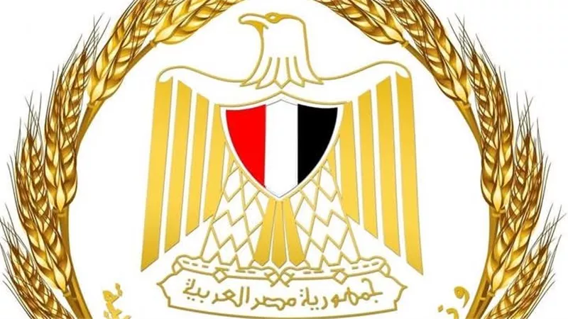  وزير التموين: استمرار ضخ الدواجن المجمدة بالمجمعات الاستهلاكية بأسعار مخفضة