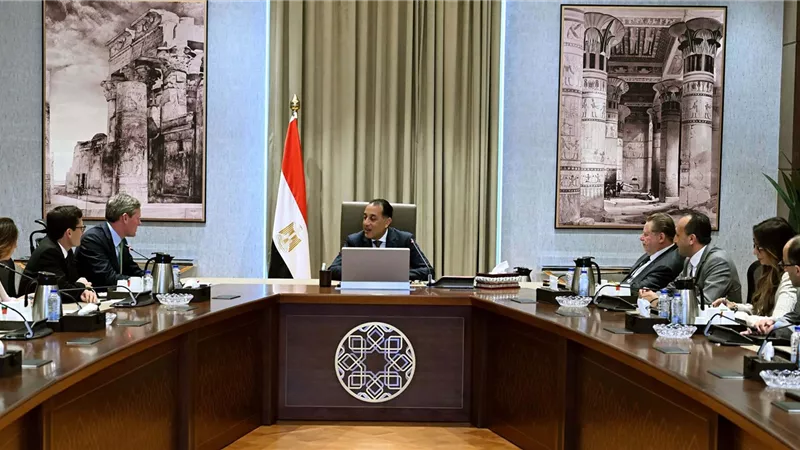 رئيس الوزراء يستقبل الرئيس التنفيذي لشركة 