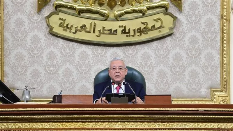 رئيس مجلس النواب يؤكد موقف مصر الثابت من القضية الفلسطينية