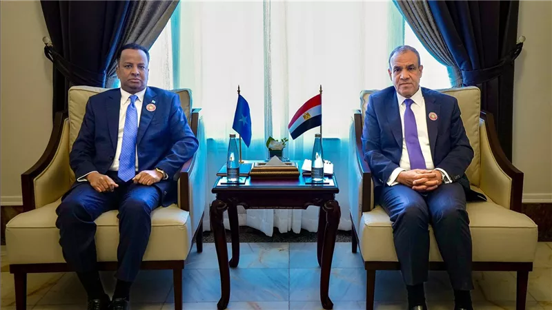 وزير الخارجية والهجرة يلتقي بوزير خارجية الصومال على هامش الاجتماع الوزاري التحضيري للقمة العربية
