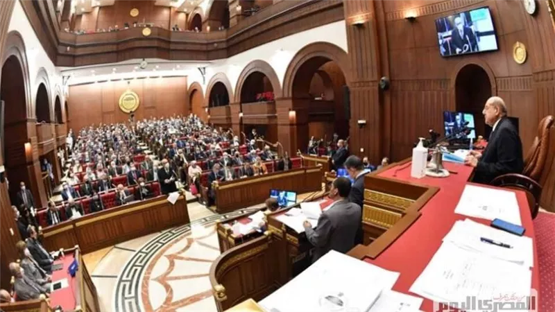 مجلس الشيوخ يوافق على تقرير خطة التنمية الاقتصادية والاجتماعية لعام 26/2025
